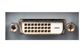 DVI Port